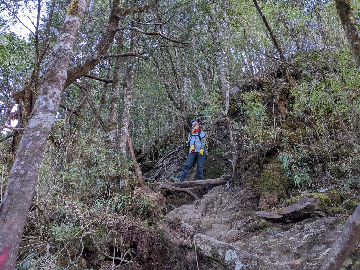 西巒大山難度？南投百岳單攻聖品玉山最北端冬天出大景