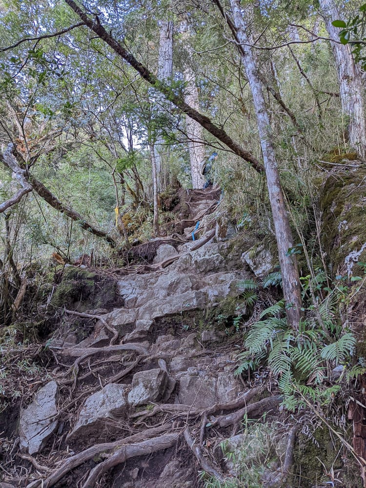西巒大山難度？南投百岳單攻聖品玉山最北端冬天出大景