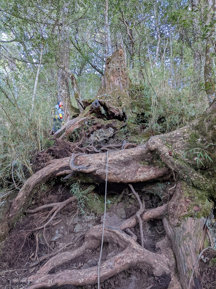 西巒大山難度？南投百岳單攻聖品玉山最北端冬天出大景