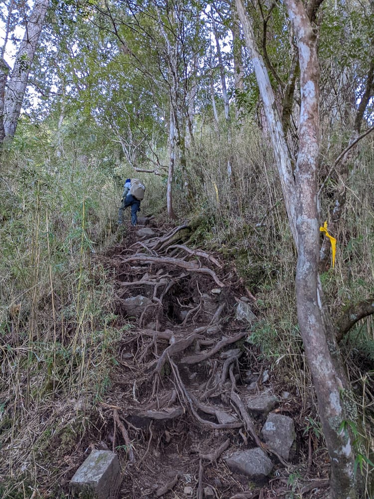 西巒大山難度？南投百岳單攻聖品玉山最北端冬天出大景