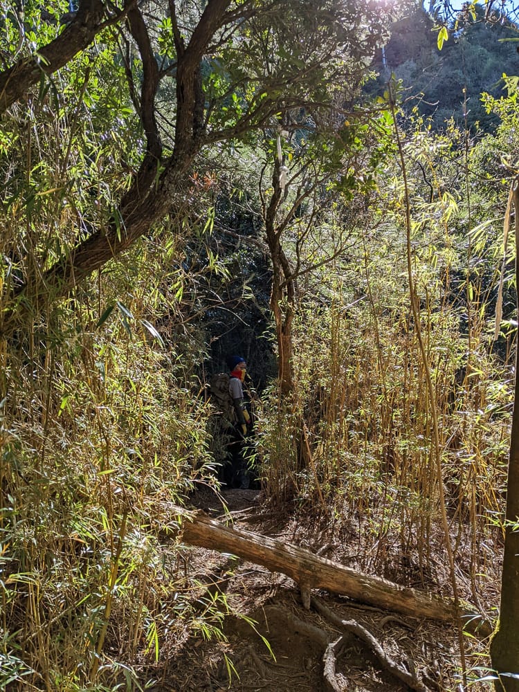 西巒大山難度？南投百岳單攻聖品玉山最北端冬天出大景