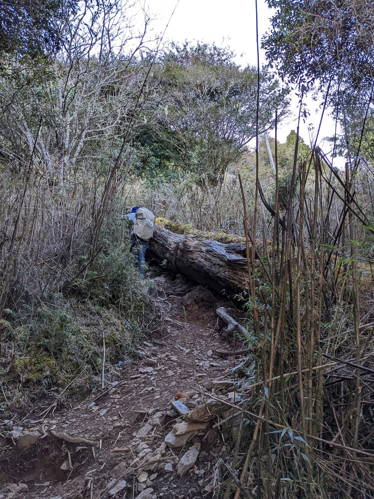 西巒大山難度？南投百岳單攻聖品玉山最北端冬天出大景