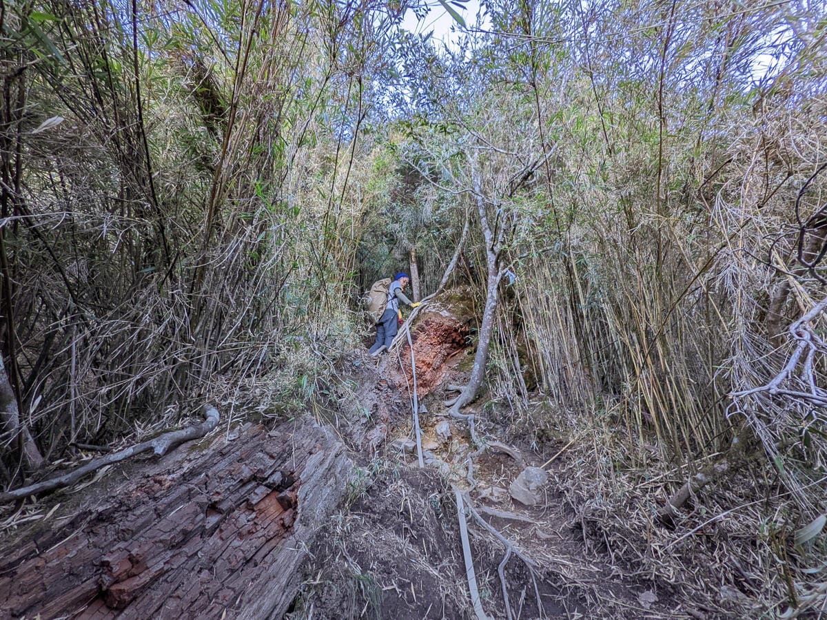 西巒大山難度？南投百岳單攻聖品玉山最北端冬天出大景