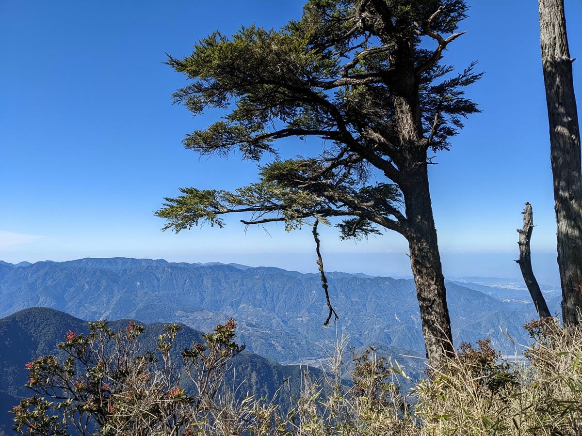 西巒大山難度？南投百岳單攻聖品玉山最北端冬天出大景