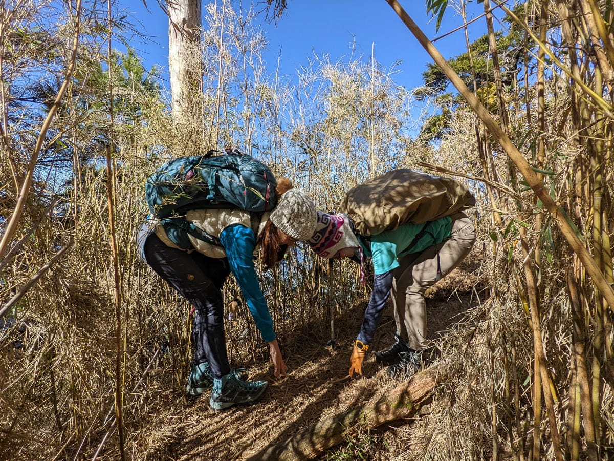 西巒大山難度？南投百岳單攻聖品玉山最北端冬天出大景