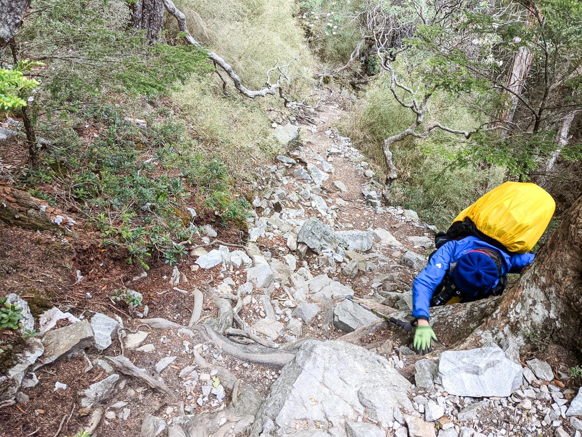 野外急救 WFA 與 BLS 基本創傷救命術上課心得 - 第3張圖 野外急救 WFA 與 BLS 基本創傷救命術上課心得