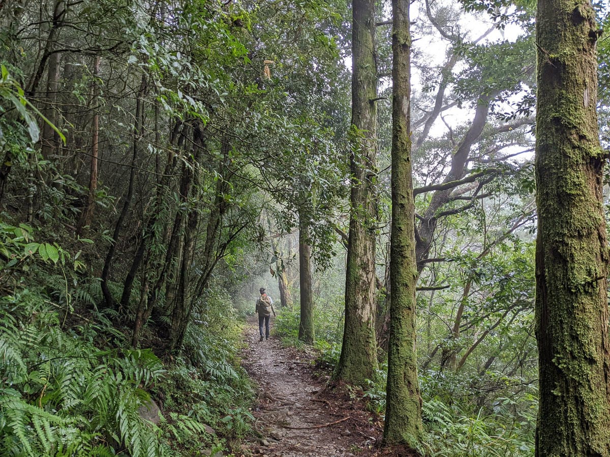 浸水營古道 從屏東走到台東見證500年歷史足跡