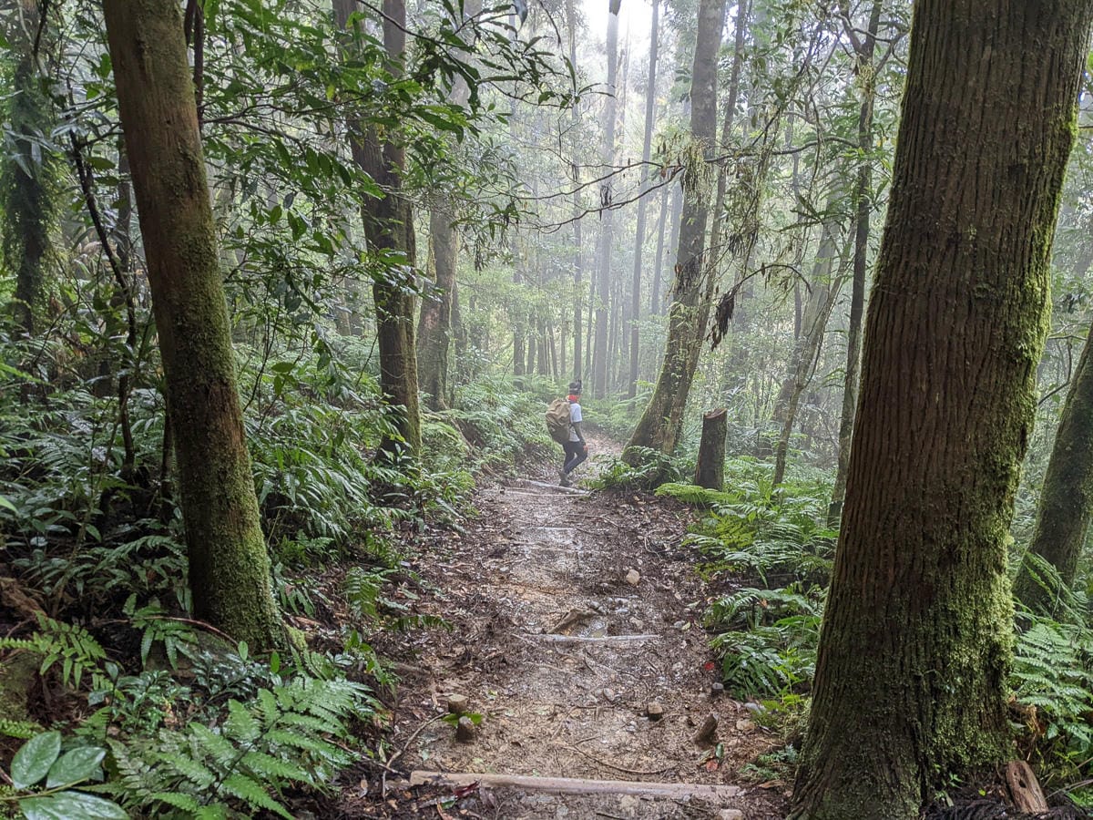 浸水營古道 從屏東走到台東見證500年歷史足跡