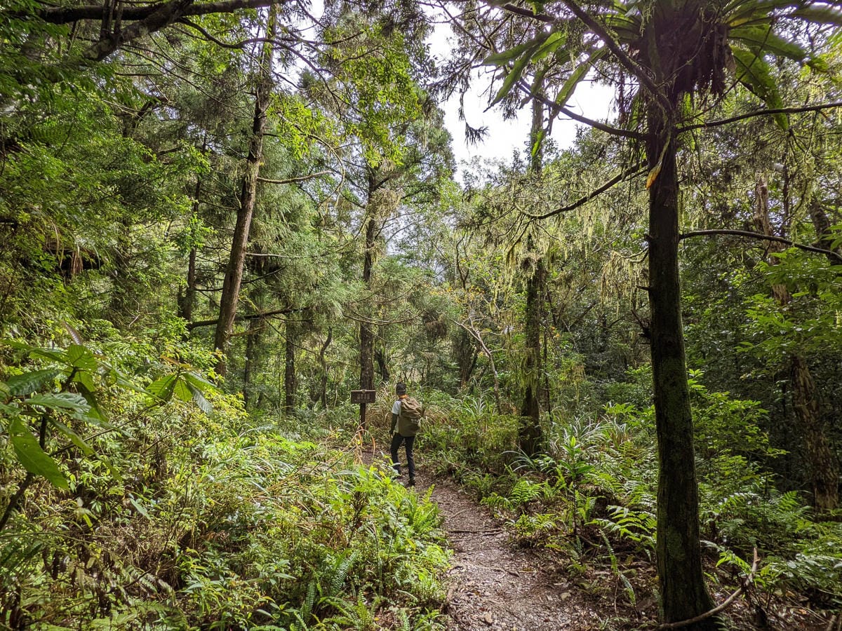 浸水營古道 從屏東走到台東見證500年歷史足跡
