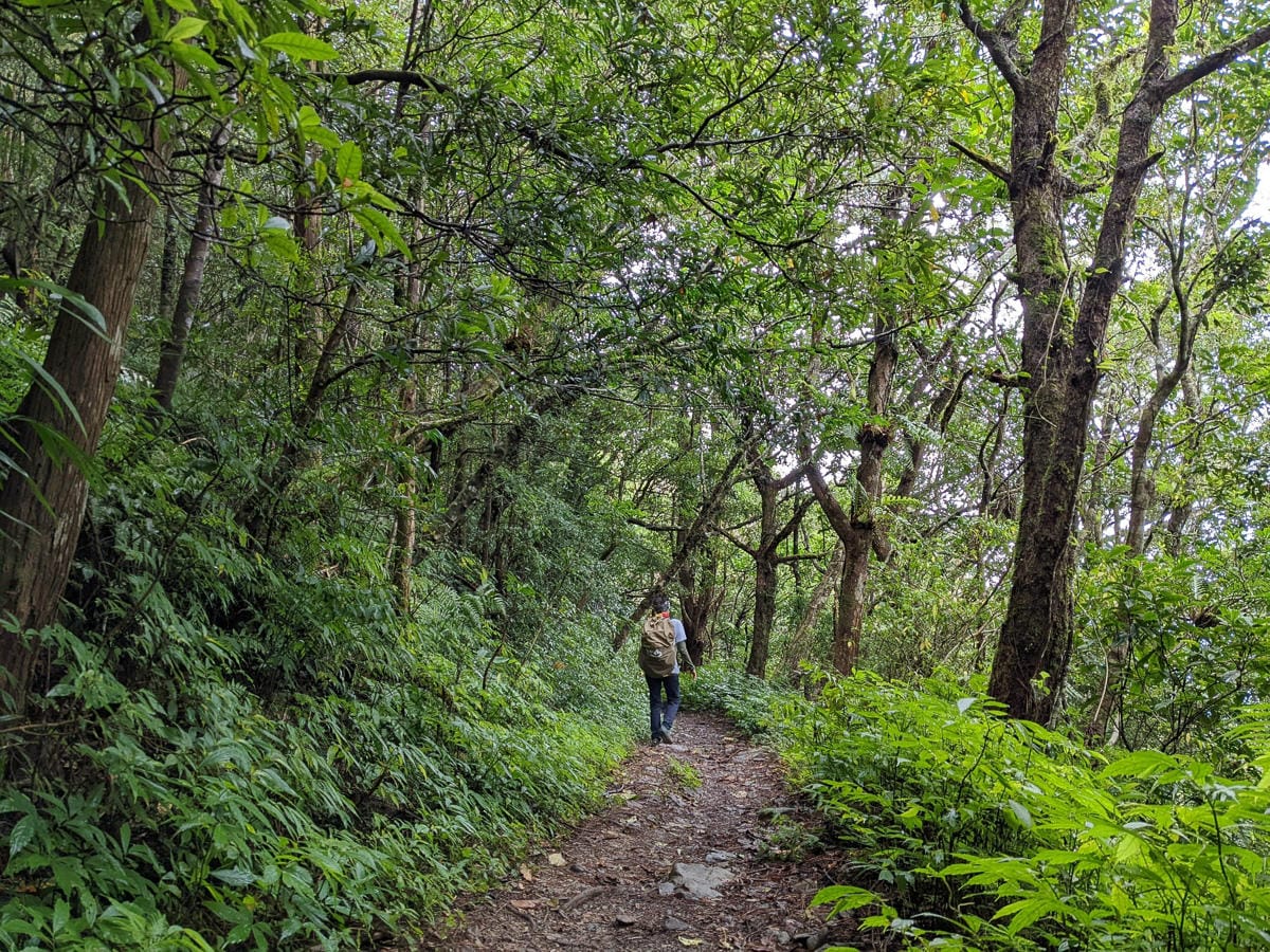 浸水營古道 從屏東走到台東見證500年歷史足跡