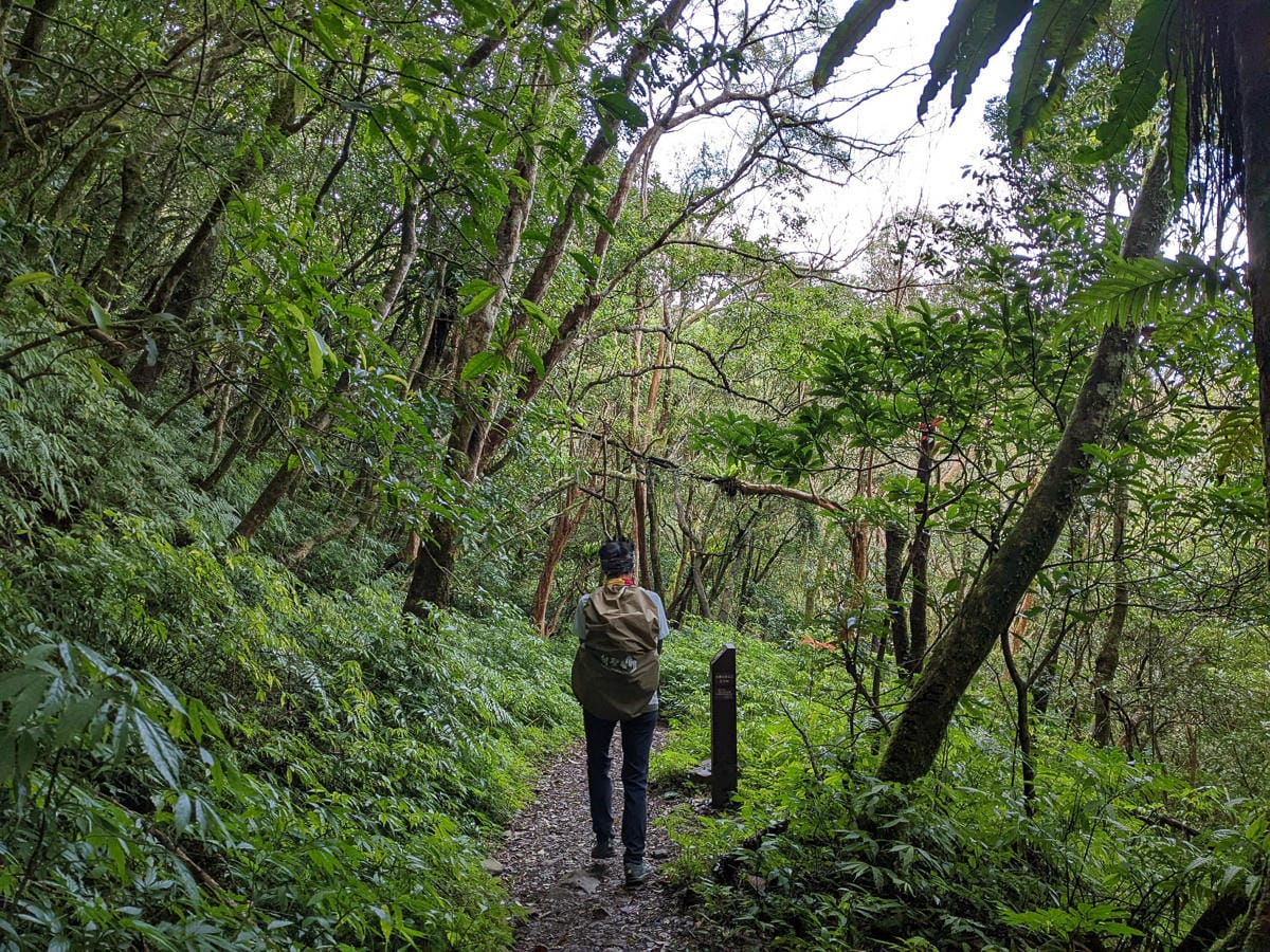 浸水營古道 從屏東走到台東見證500年歷史足跡