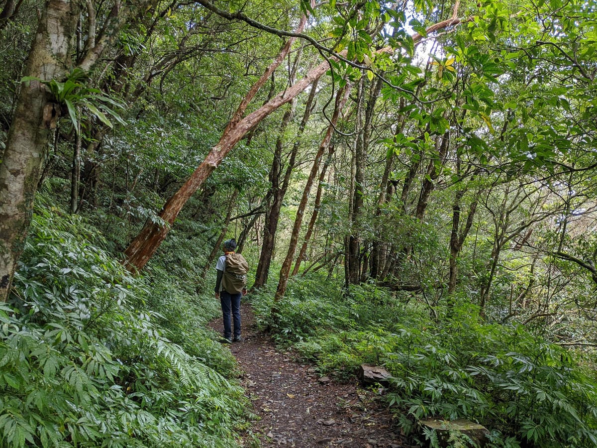浸水營古道 從屏東走到台東見證500年歷史足跡