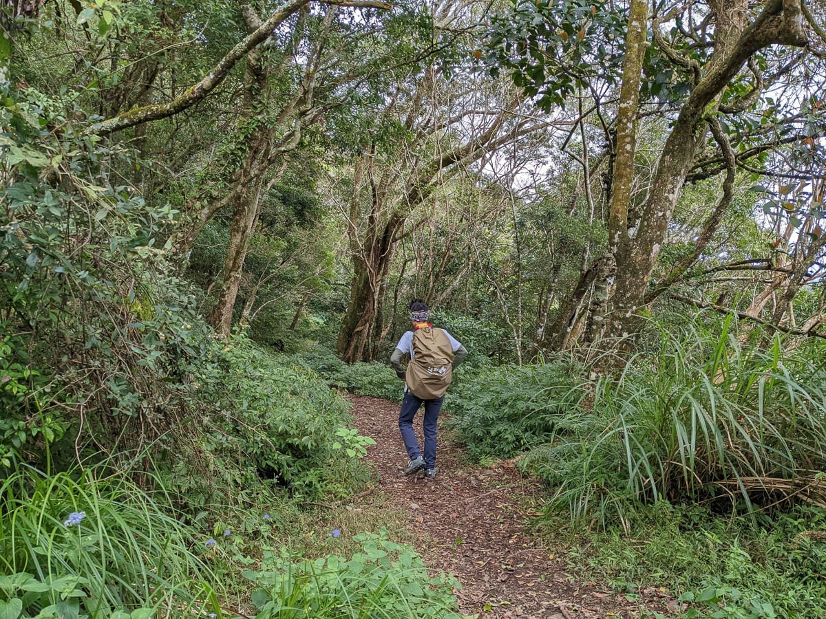 浸水營古道 從屏東走到台東見證500年歷史足跡