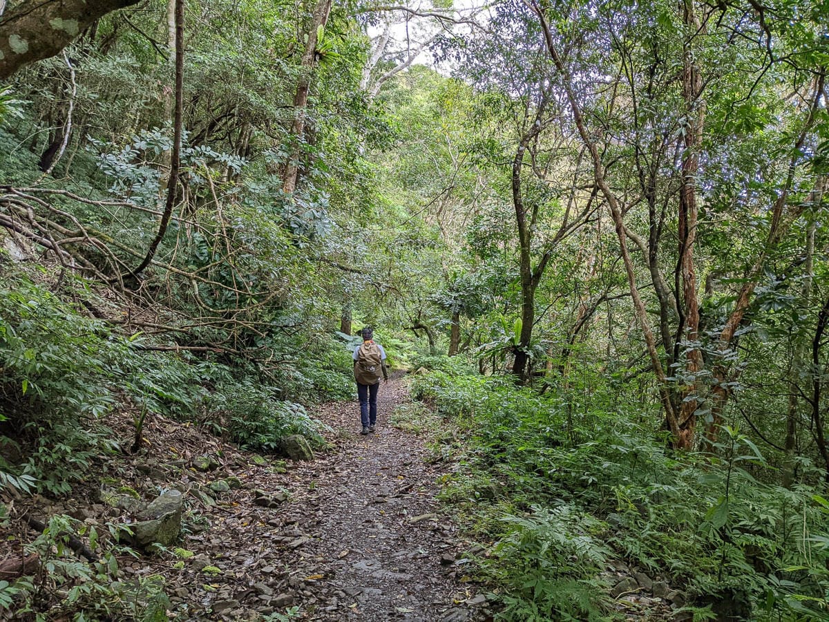 浸水營古道 從屏東走到台東見證500年歷史足跡