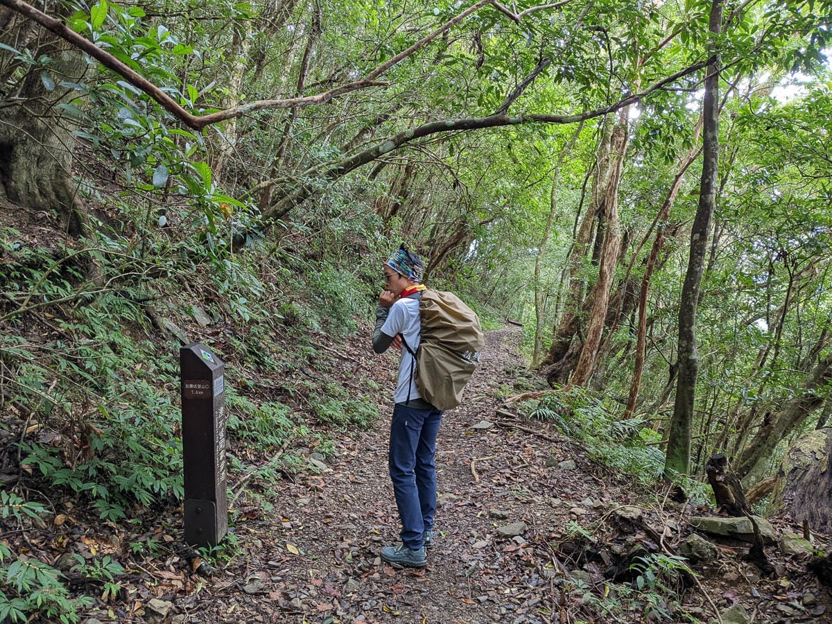 浸水營古道 從屏東走到台東見證500年歷史足跡