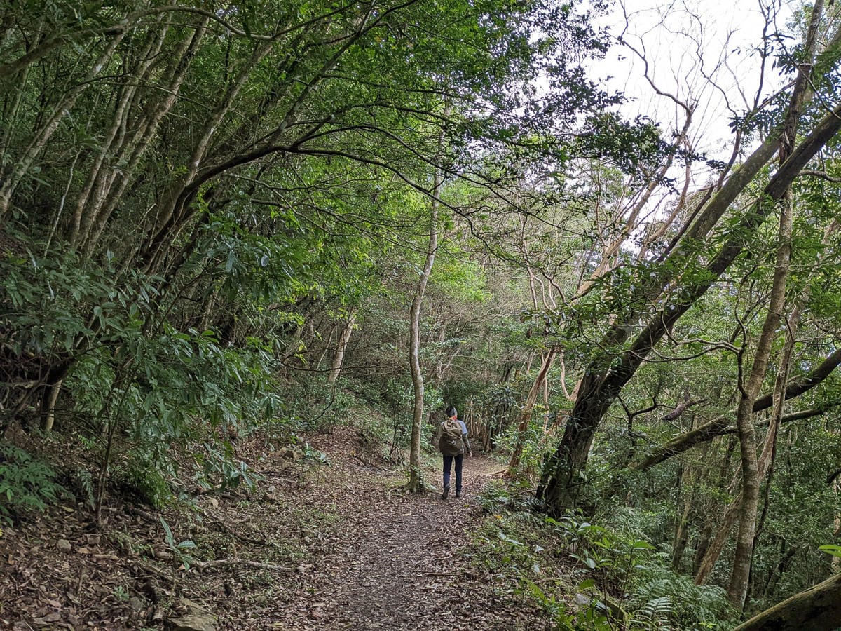 浸水營古道 從屏東走到台東見證500年歷史足跡