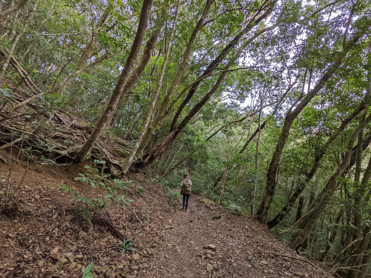 浸水營古道 從屏東走到台東見證500年歷史足跡