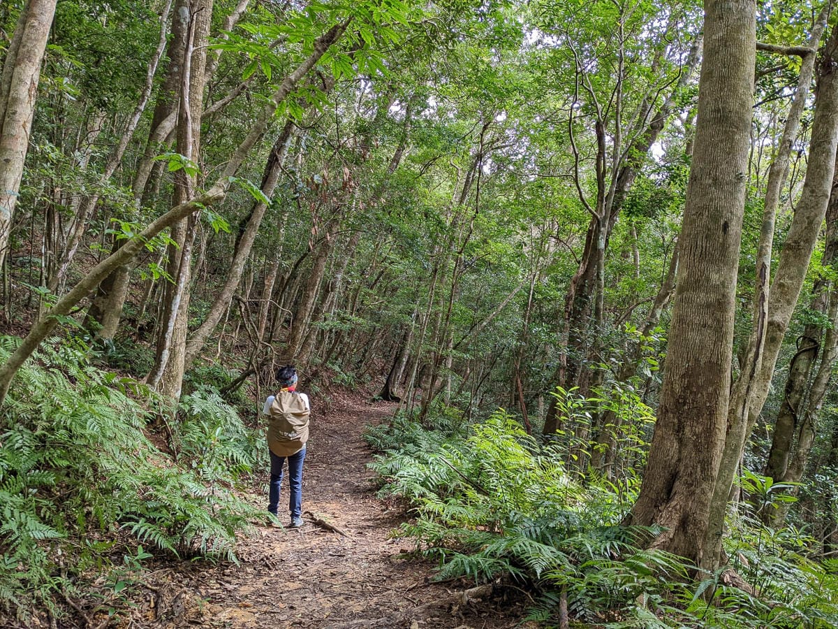 浸水營古道 從屏東走到台東見證500年歷史足跡