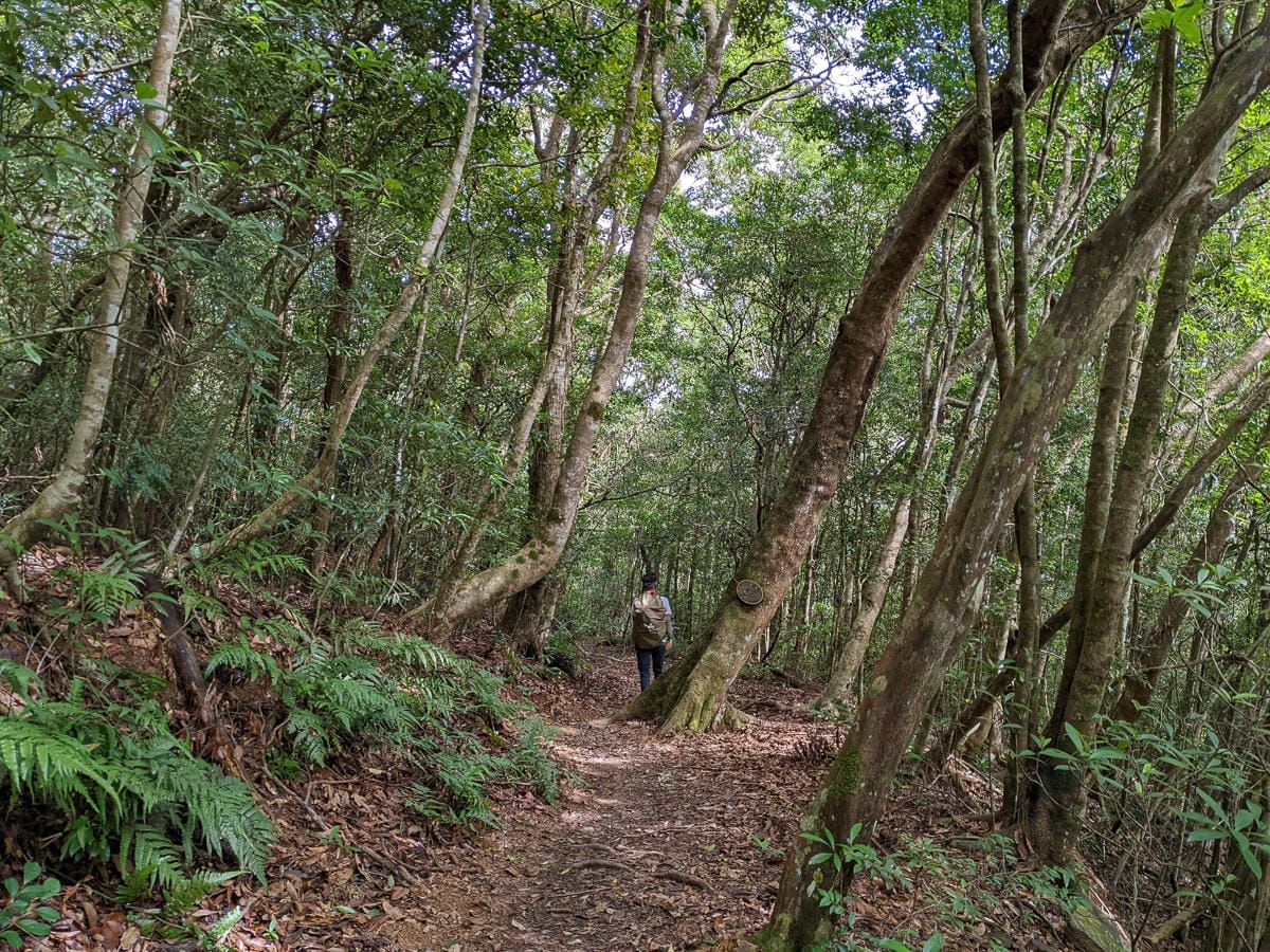 浸水營古道 從屏東走到台東見證500年歷史足跡