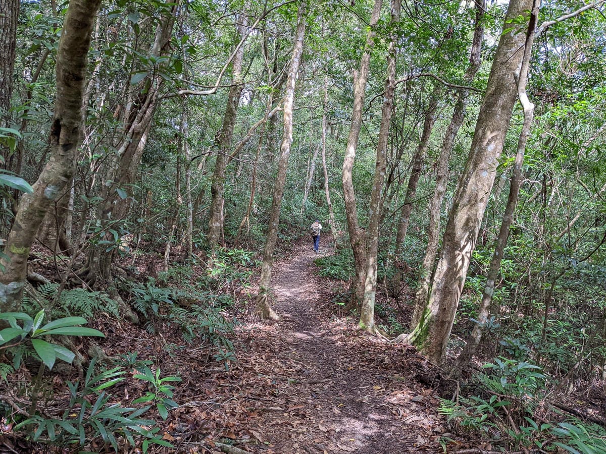 浸水營古道 從屏東走到台東見證500年歷史足跡