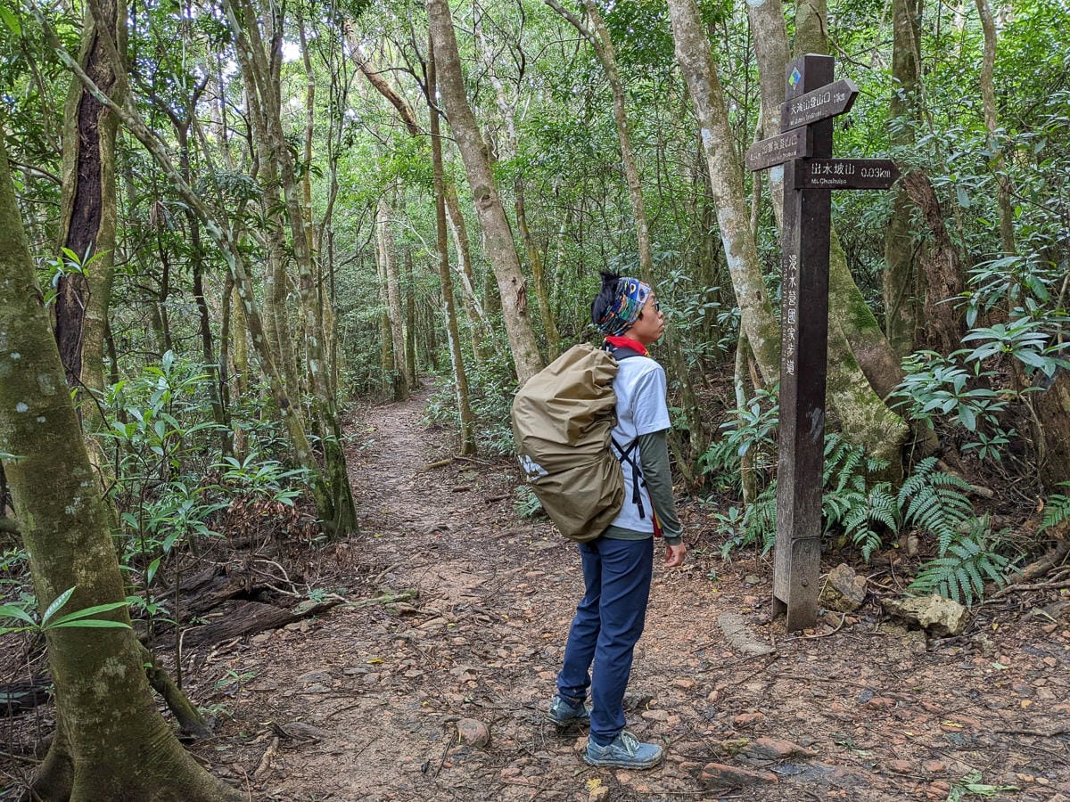 浸水營古道 從屏東走到台東見證500年歷史足跡
