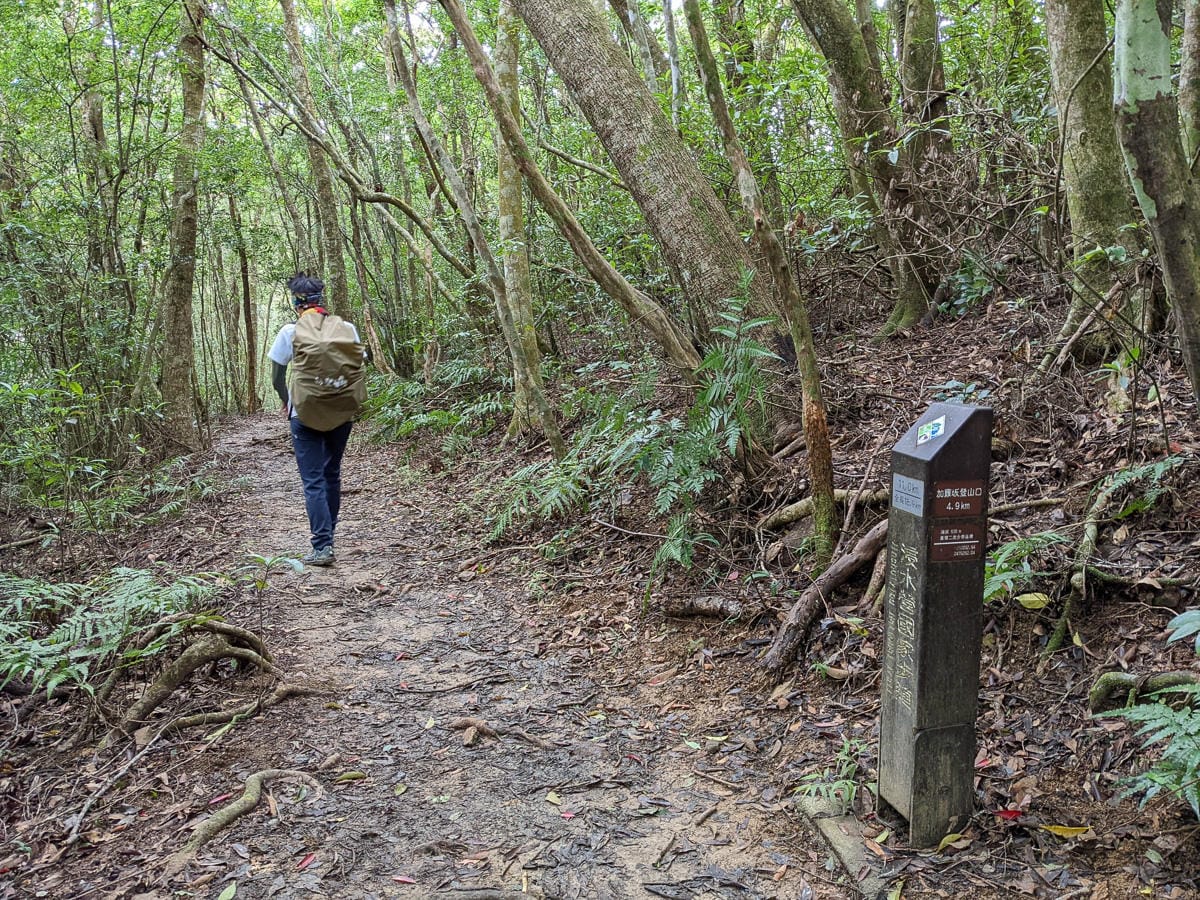浸水營古道 從屏東走到台東見證500年歷史足跡