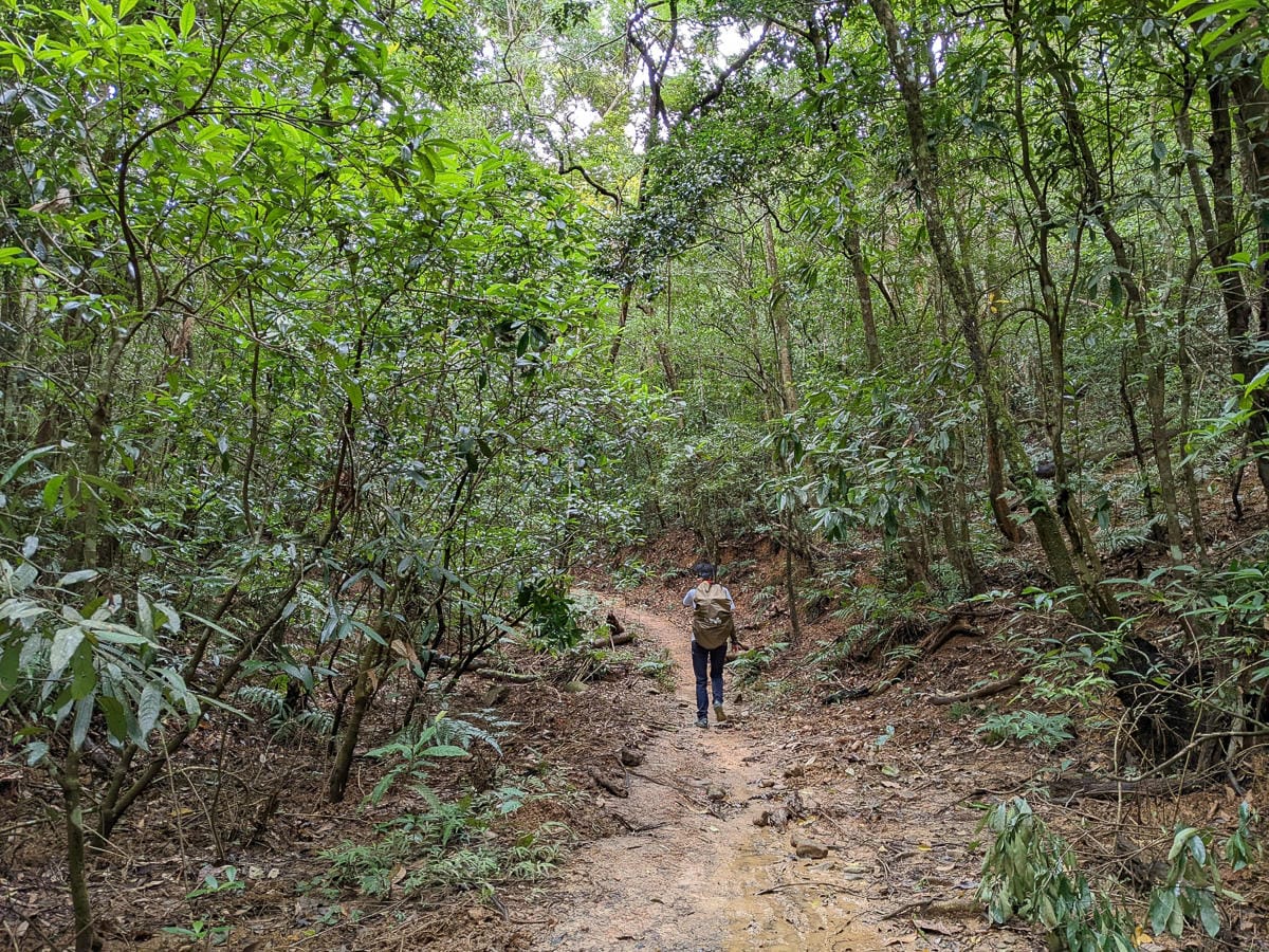 浸水營古道 從屏東走到台東見證500年歷史足跡