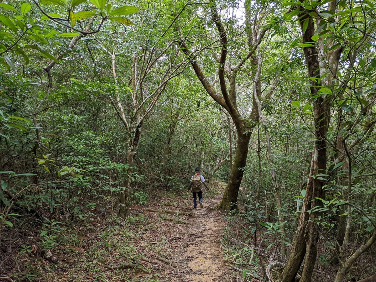 浸水營古道 從屏東走到台東見證500年歷史足跡