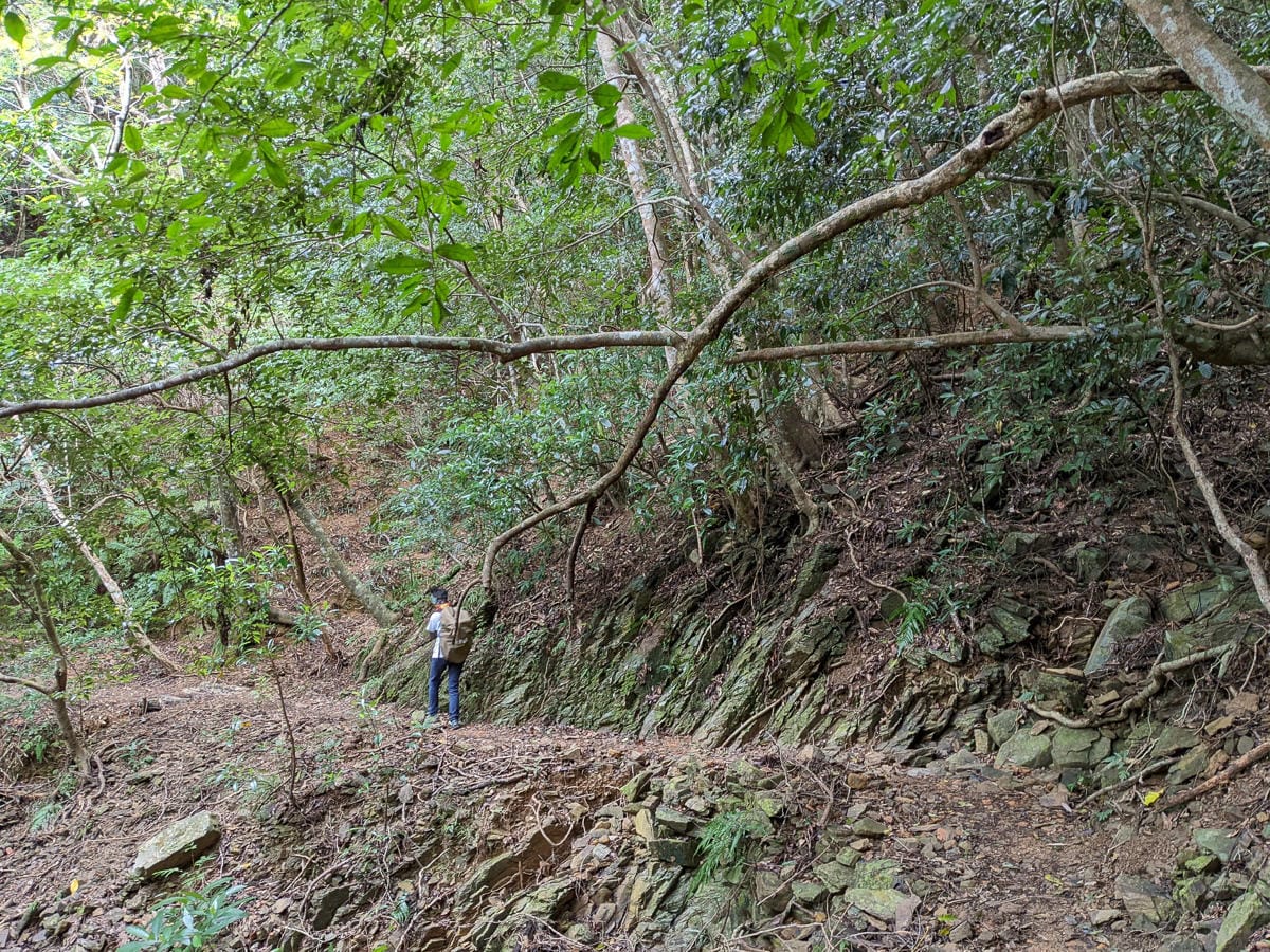 浸水營古道 從屏東走到台東見證500年歷史足跡