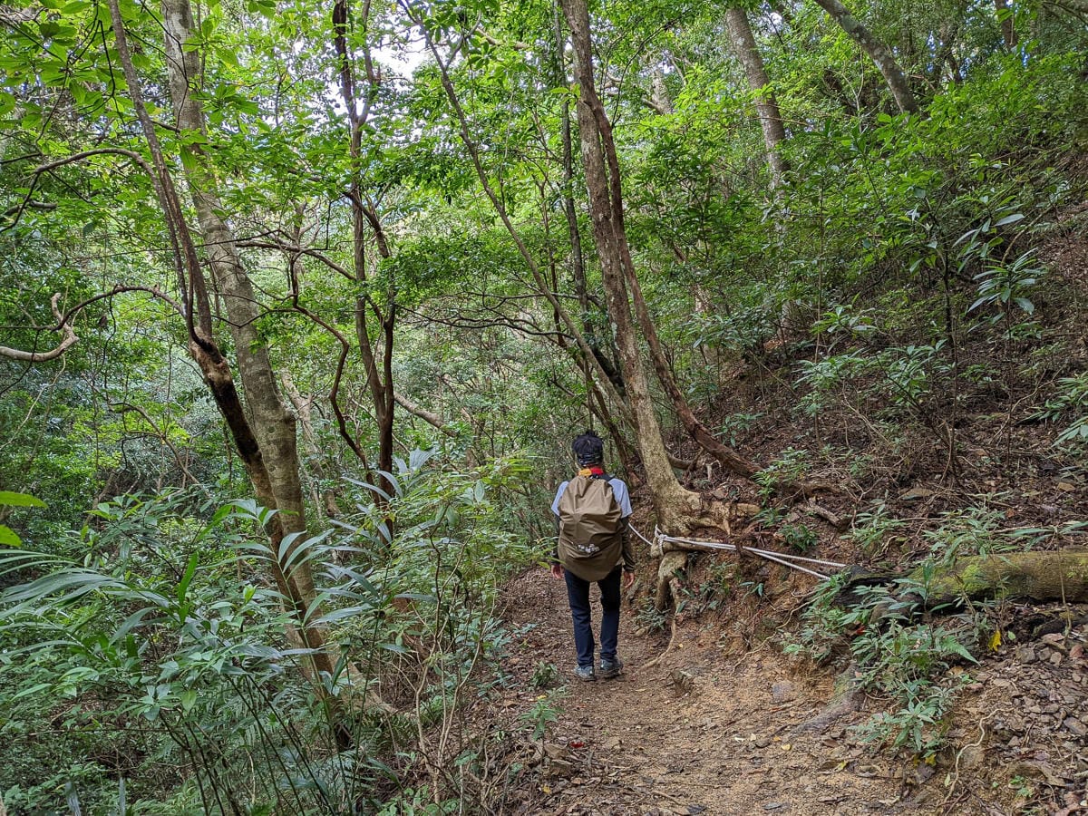 浸水營古道 從屏東走到台東見證500年歷史足跡