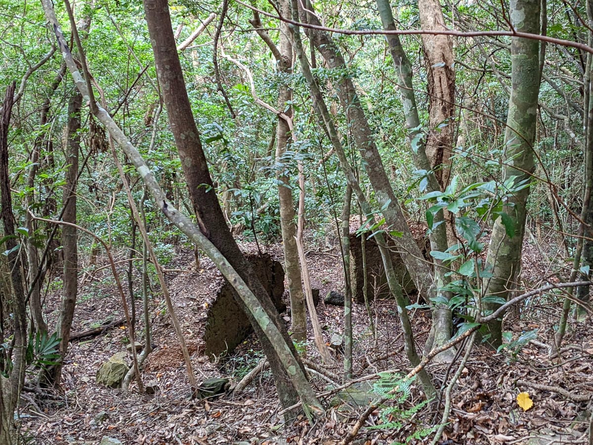 浸水營古道 從屏東走到台東見證500年歷史足跡