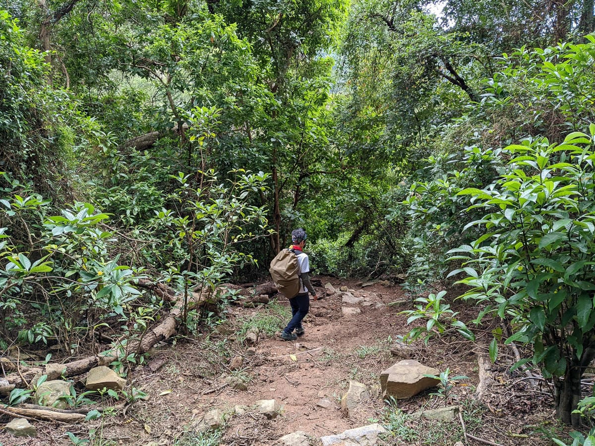 浸水營古道 從屏東走到台東見證500年歷史足跡