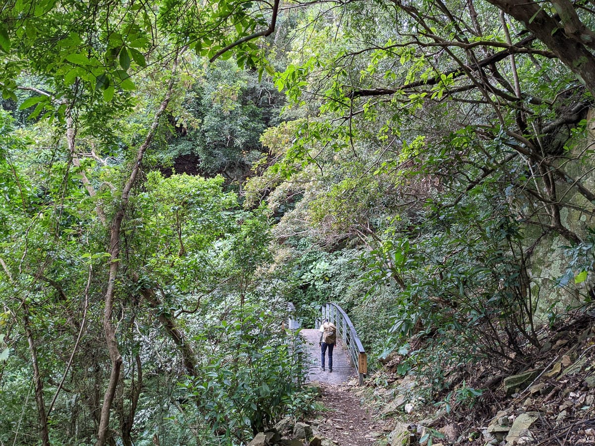 浸水營古道 從屏東走到台東見證500年歷史足跡