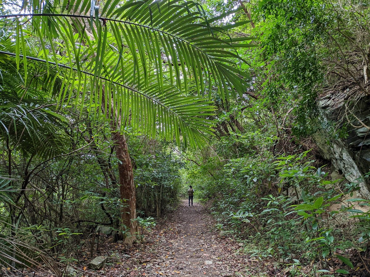 浸水營古道 從屏東走到台東見證500年歷史足跡