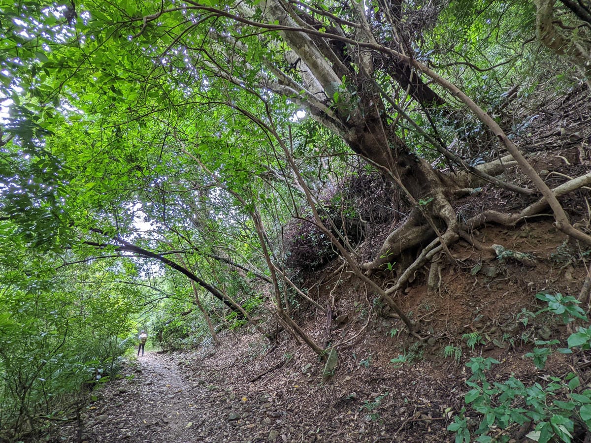 浸水營古道 從屏東走到台東見證500年歷史足跡