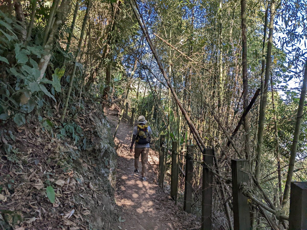 苗栗小百岳馬那邦山 值得沈醉四季聖稜之美