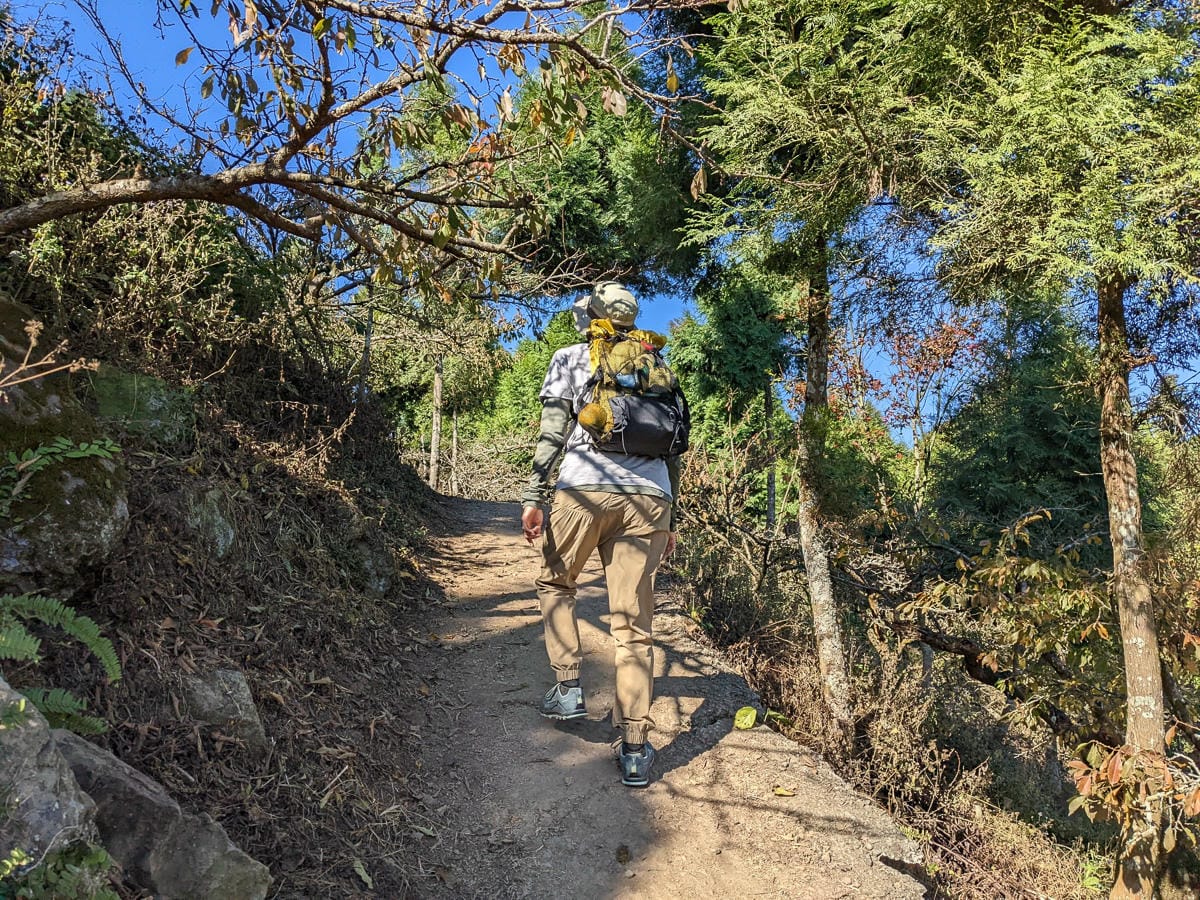 苗栗小百岳馬那邦山 值得沈醉四季聖稜之美