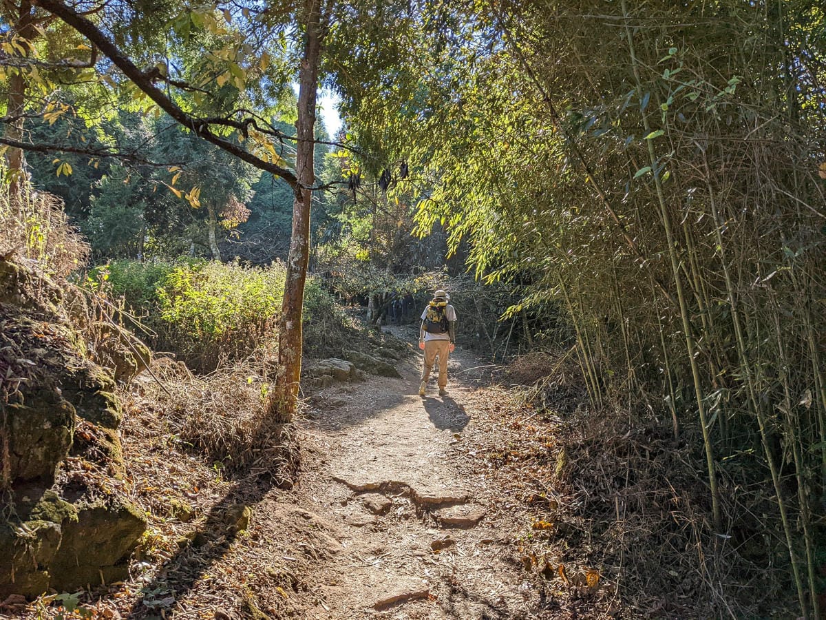 苗栗小百岳馬那邦山 值得沈醉四季聖稜之美