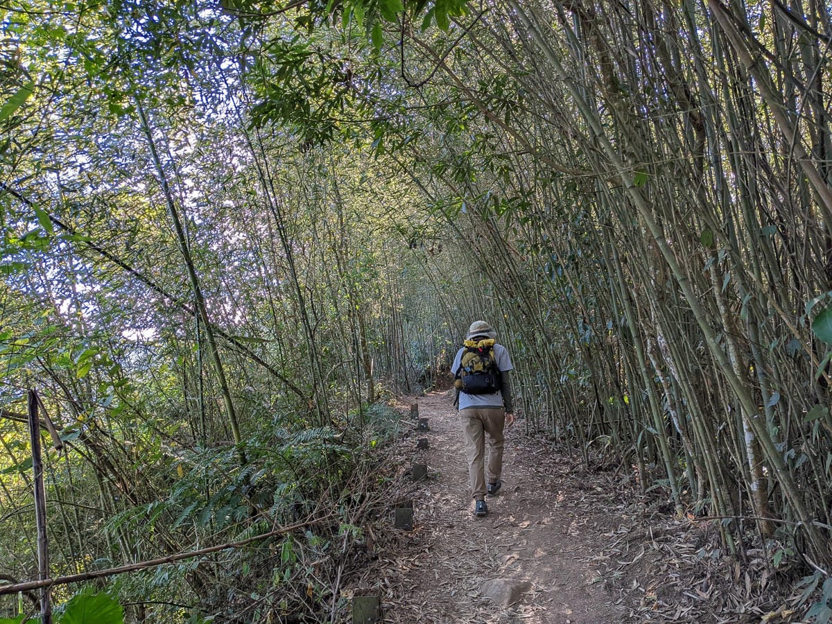 苗栗小百岳馬那邦山 值得沈醉四季聖稜之美