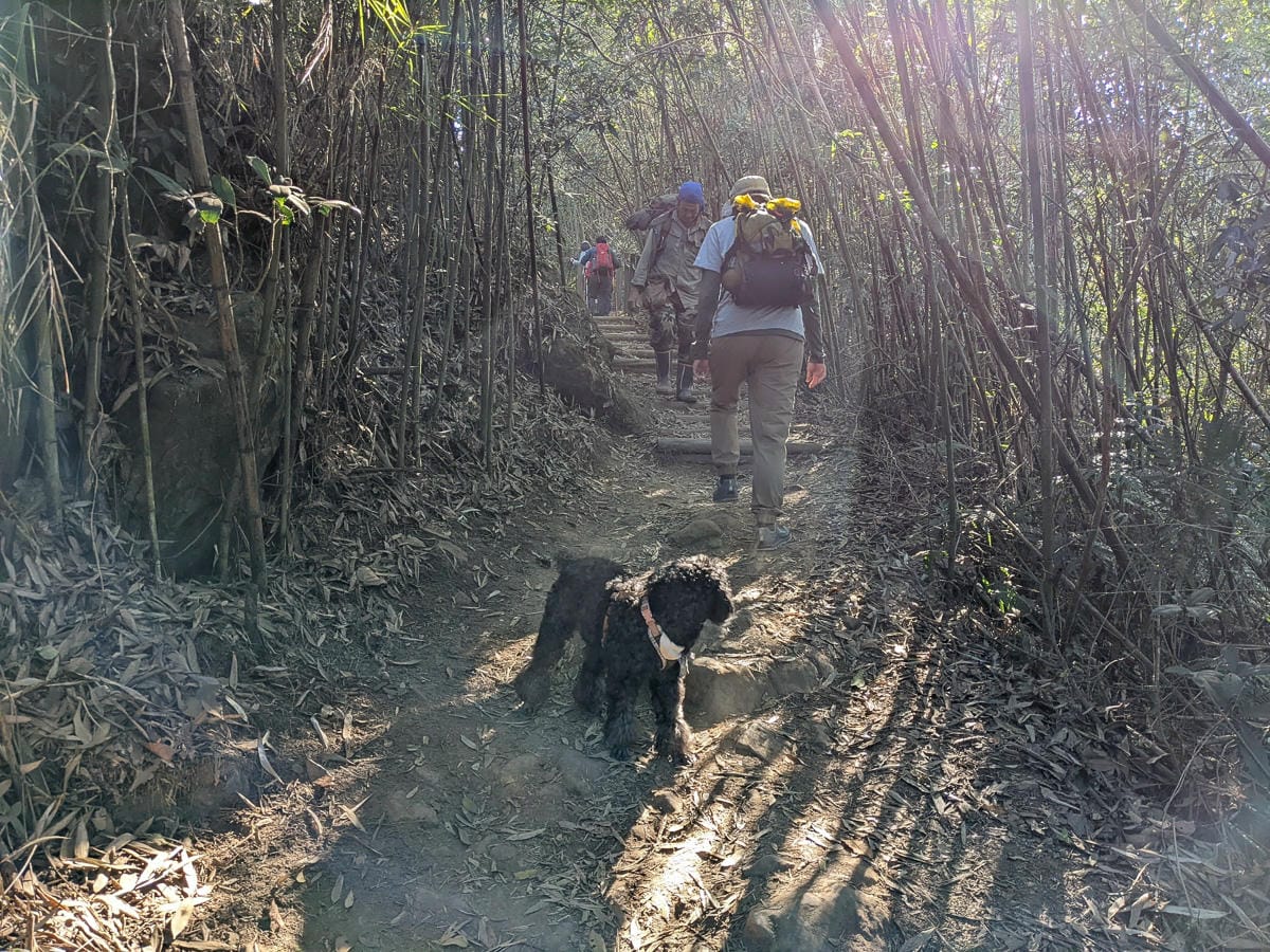 苗栗小百岳馬那邦山 值得沈醉四季聖稜之美