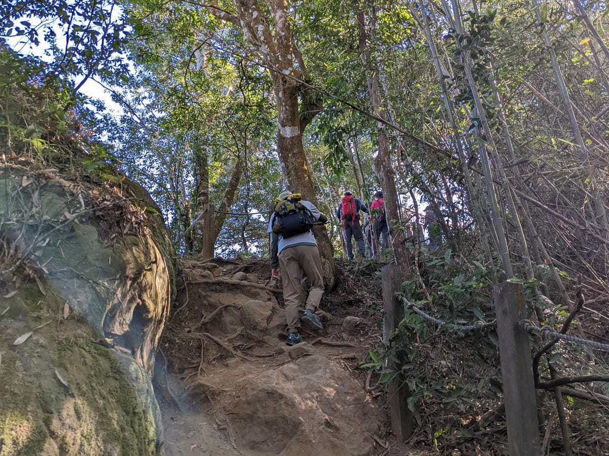 苗栗小百岳馬那邦山 值得沈醉四季聖稜之美