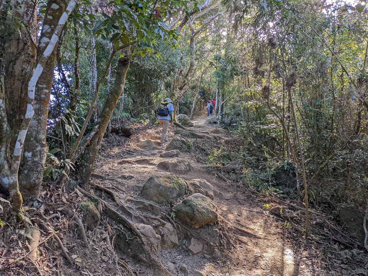 苗栗小百岳馬那邦山 值得沈醉四季聖稜之美