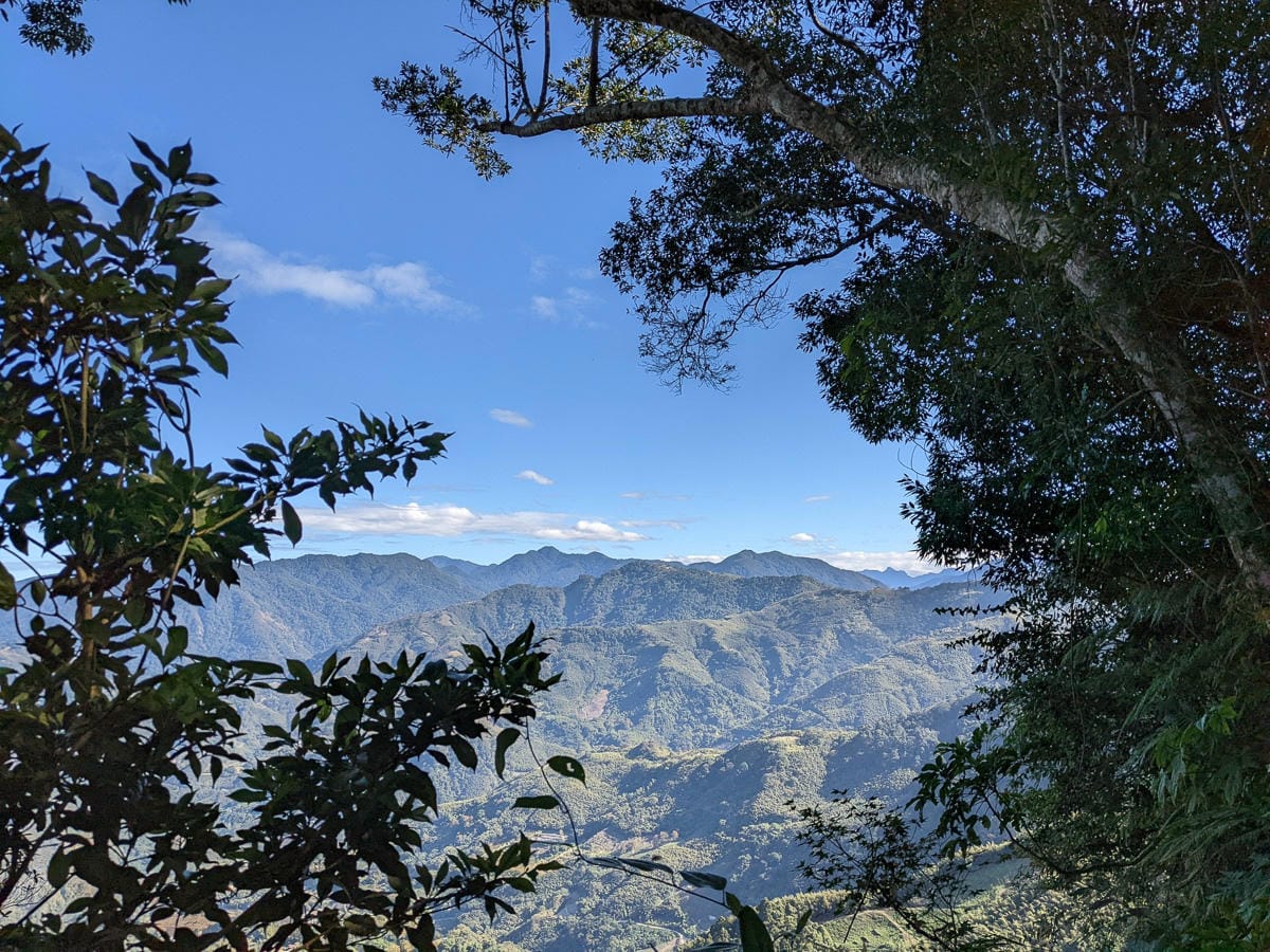 苗栗小百岳馬那邦山 值得沈醉四季聖稜之美