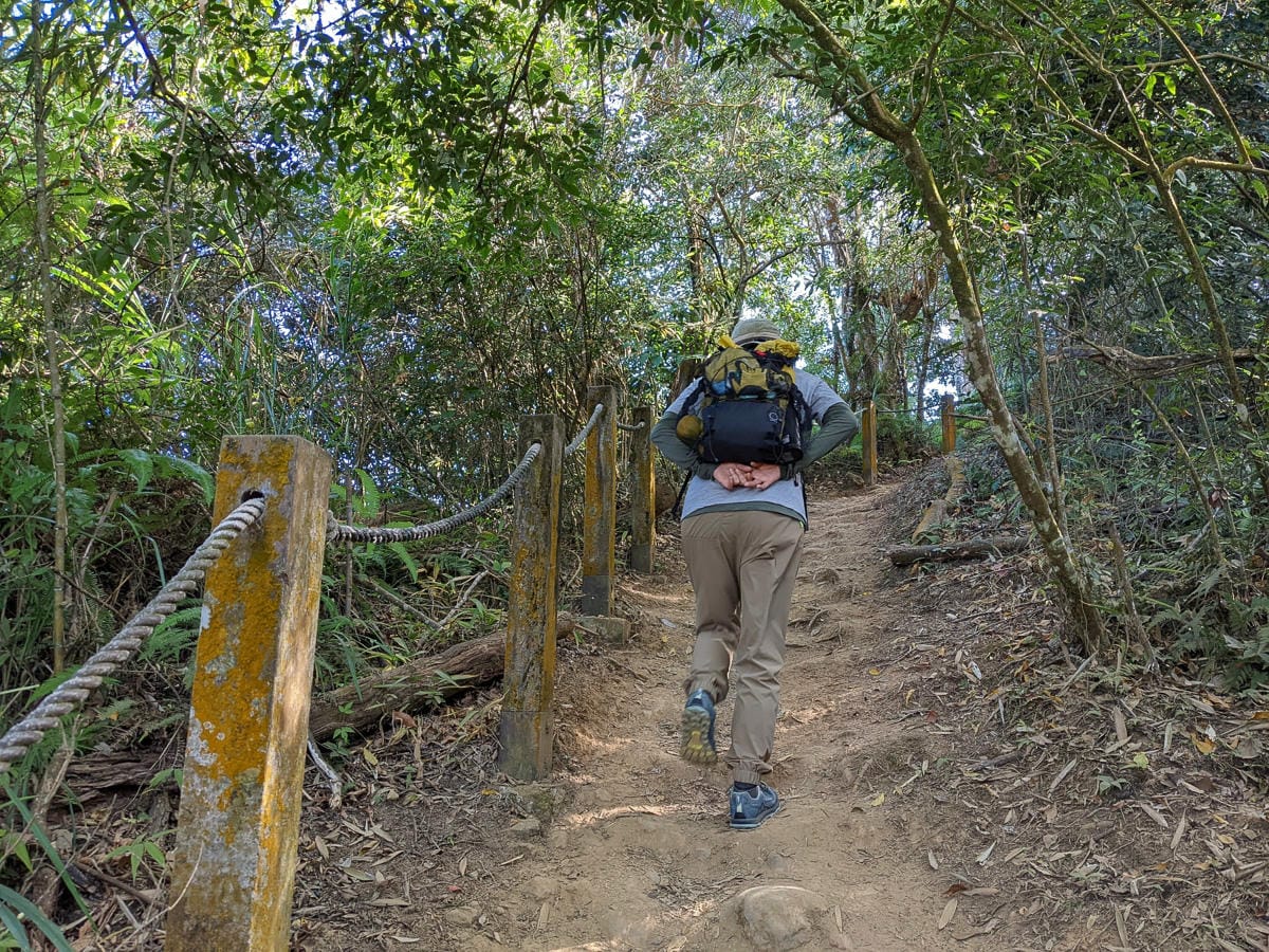 苗栗小百岳馬那邦山 值得沈醉四季聖稜之美