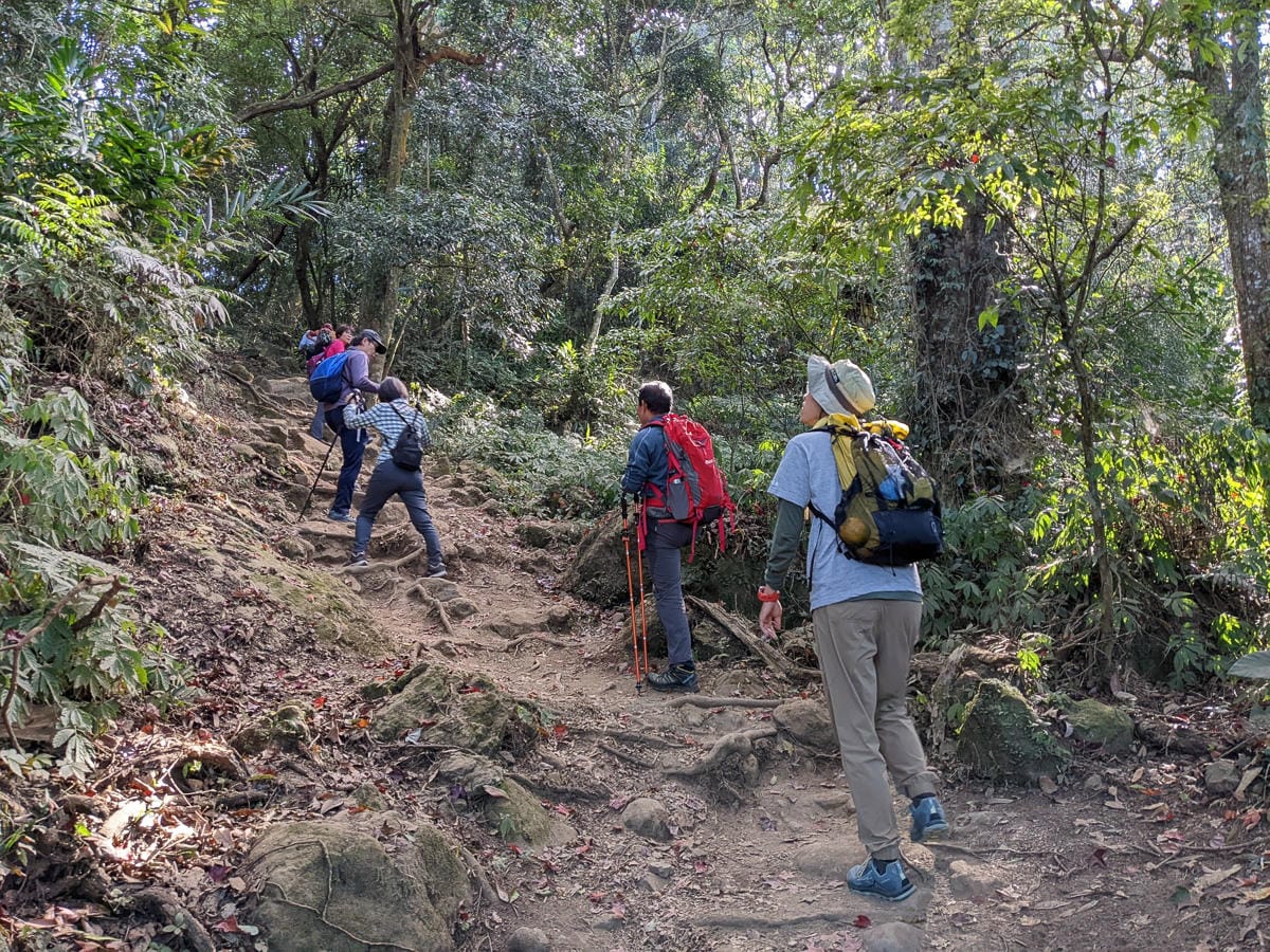 苗栗小百岳馬那邦山 值得沈醉四季聖稜之美