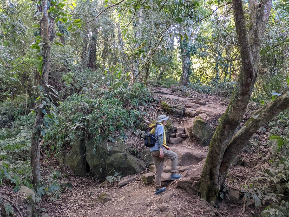 苗栗小百岳馬那邦山 值得沈醉四季聖稜之美