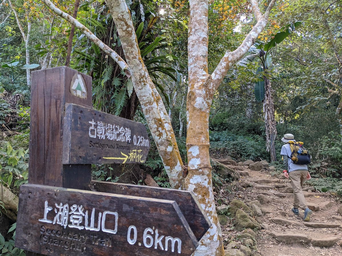 苗栗小百岳馬那邦山 值得沈醉四季聖稜之美