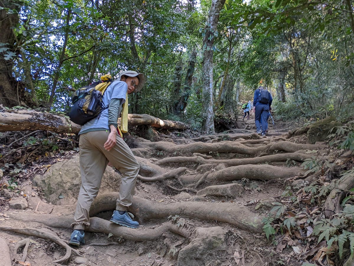 苗栗小百岳馬那邦山 值得沈醉四季聖稜之美