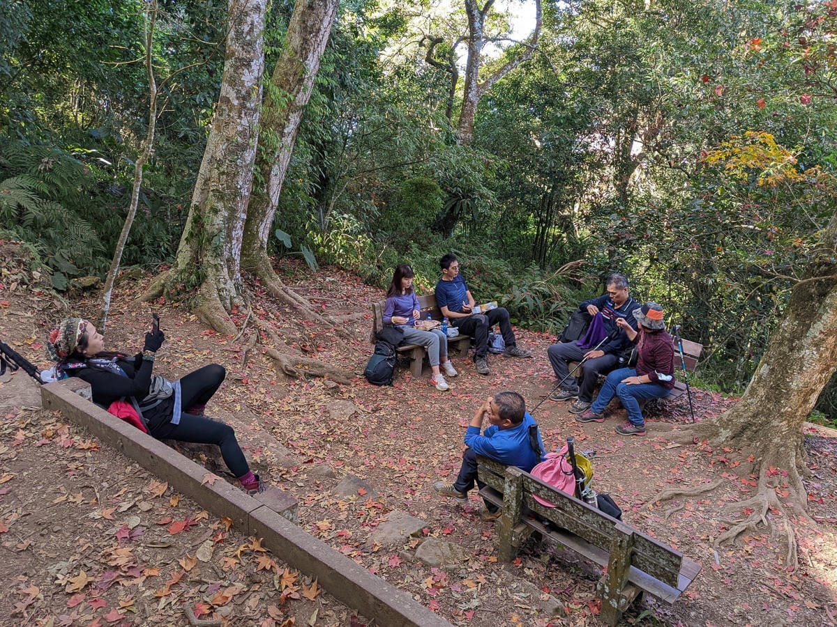 苗栗小百岳馬那邦山 值得沈醉四季聖稜之美