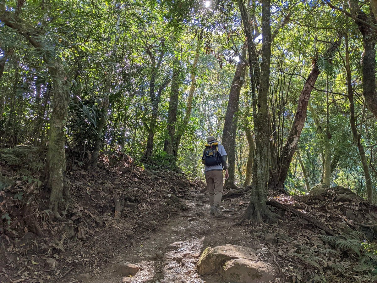 苗栗小百岳馬那邦山 值得沈醉四季聖稜之美